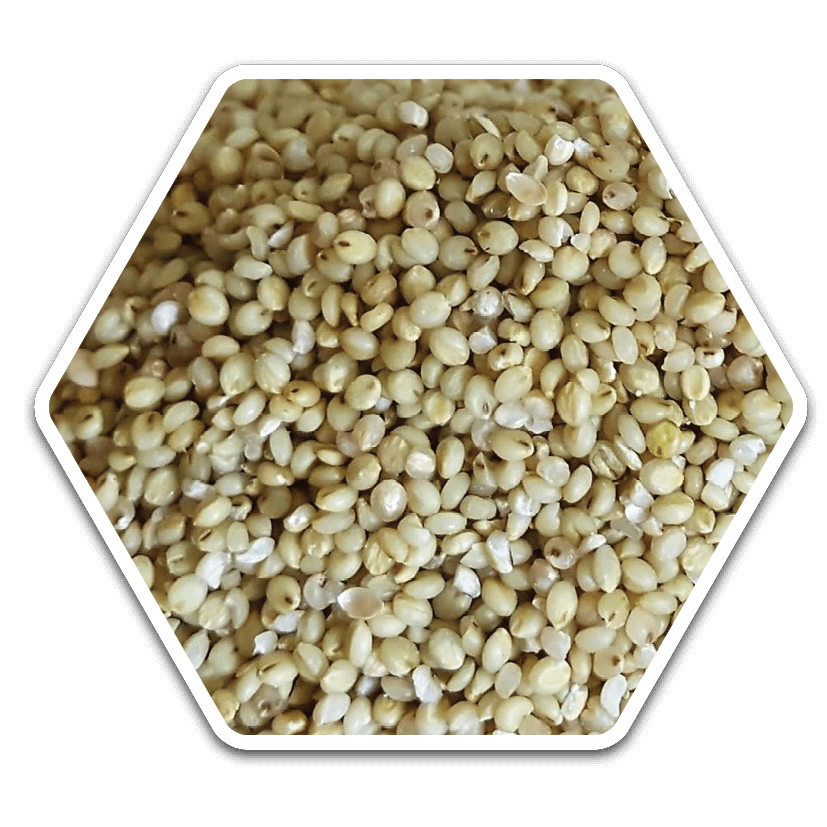 Brown Top Millet (korale)
