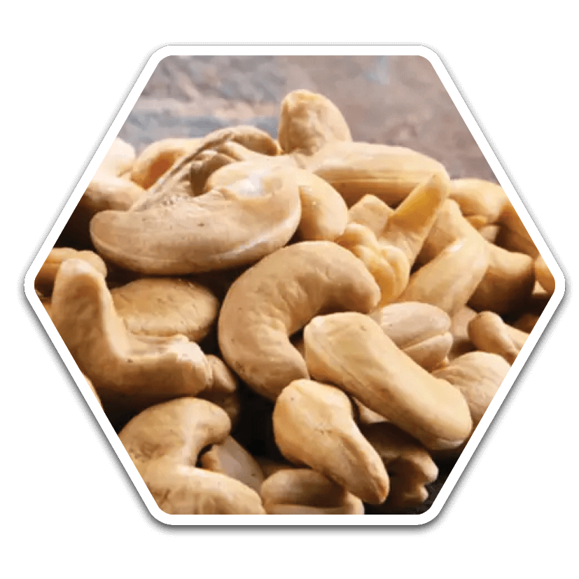 Cashew Nut