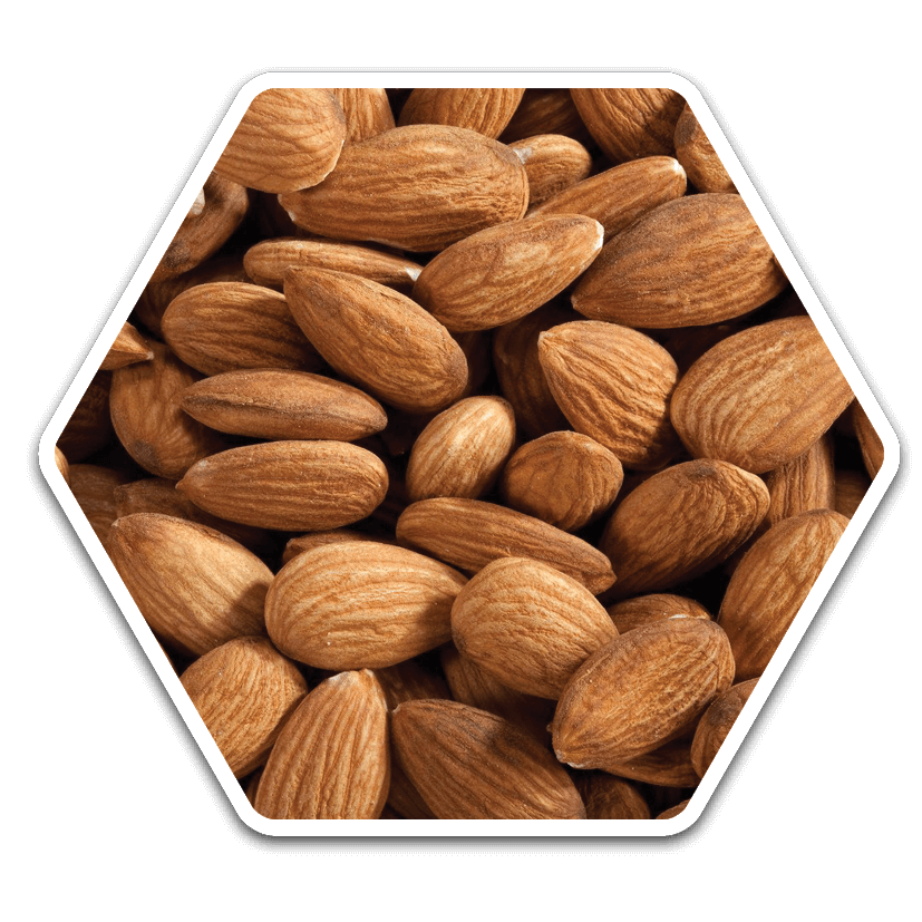 Almond (badam)