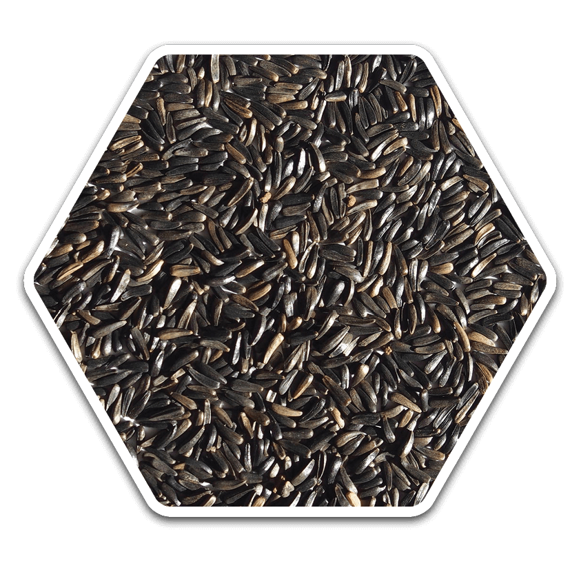 Niger Seeds