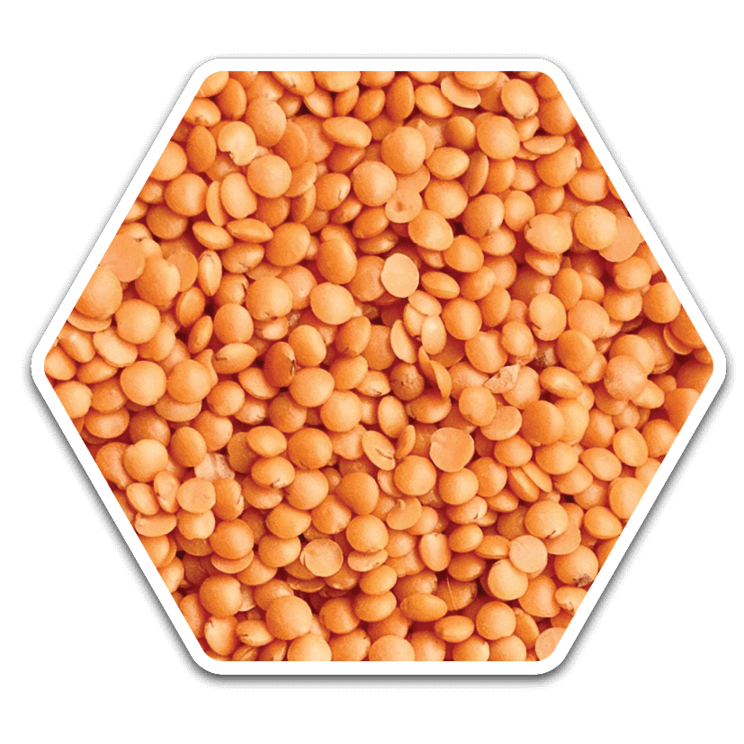 Masoor Dal