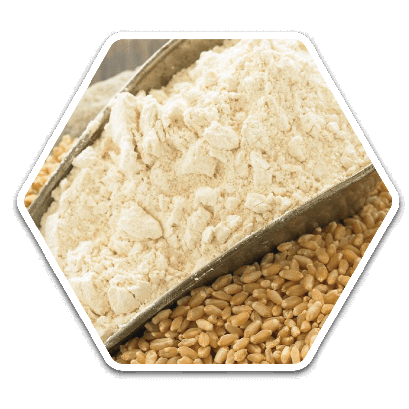Wheat Flour